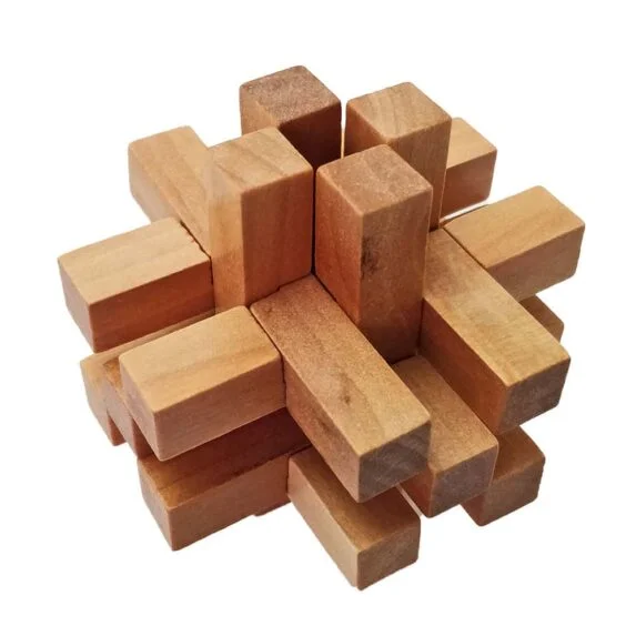 Wooden Brain Teasers for Adults And Kids 1 - Logic Games Gift Puzzle Cross Out Tricky Games Wood IQ Puzzles Challenging