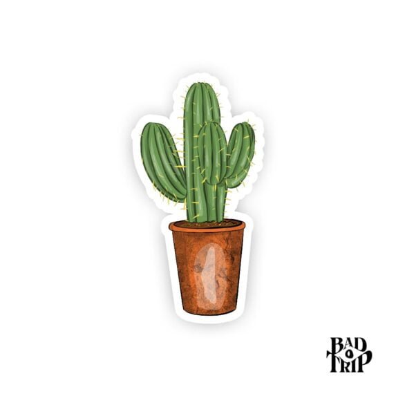 Cactus by Bad Trip