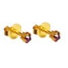 Caress 24 Carat Gold Plated Earrings - Claw Style