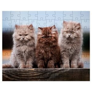 Brown and proud Puzzle – 99 Pieces