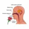 Headache Snore Free Nose Clip With Aromatic Scents - 6 Pcs
